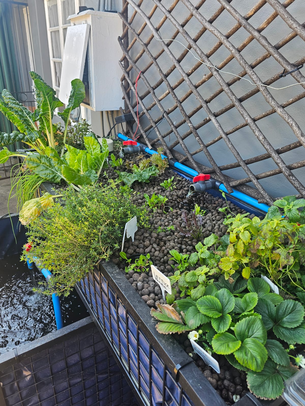 Aquaponics system 