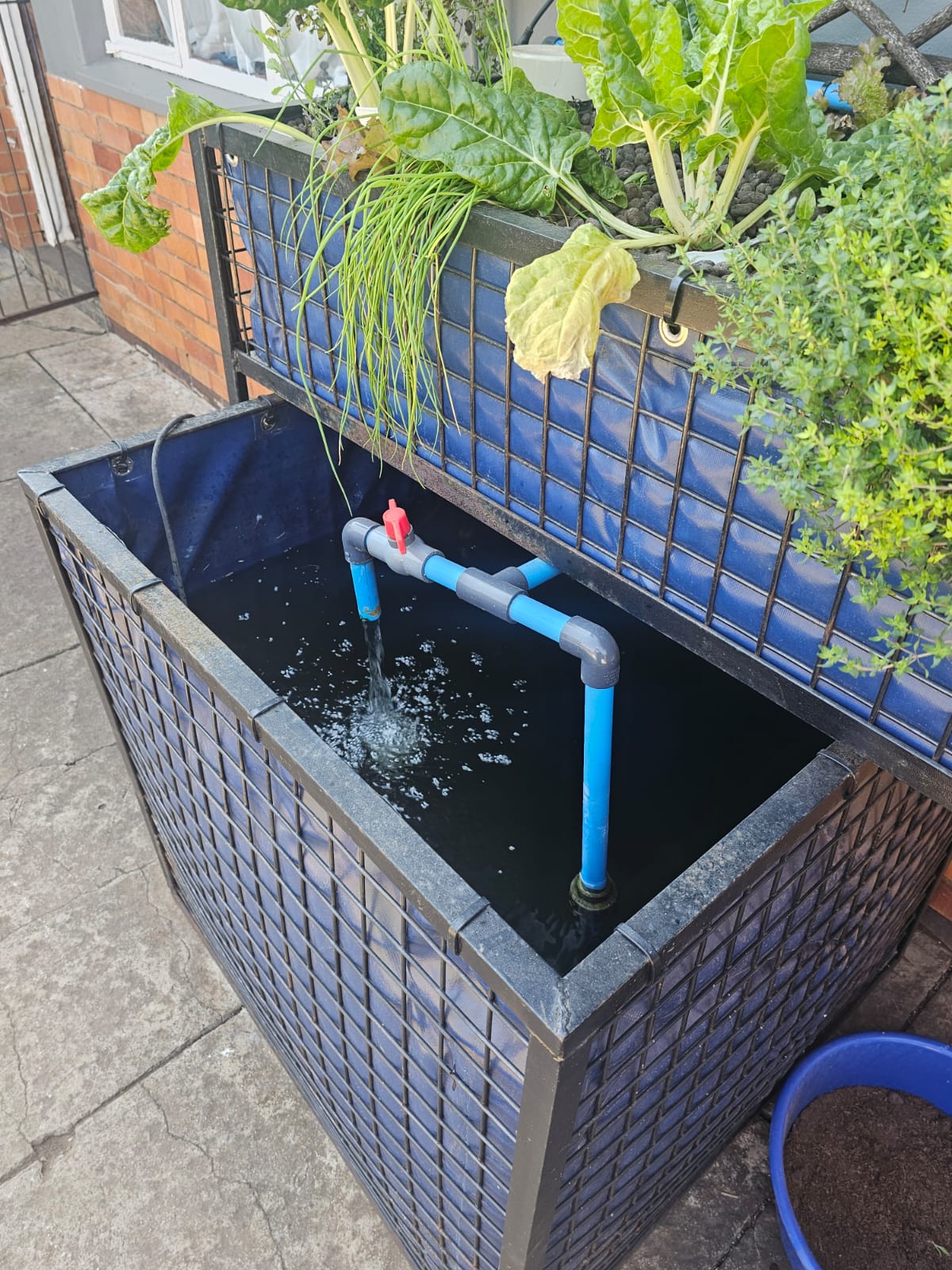 Aquaponics system 